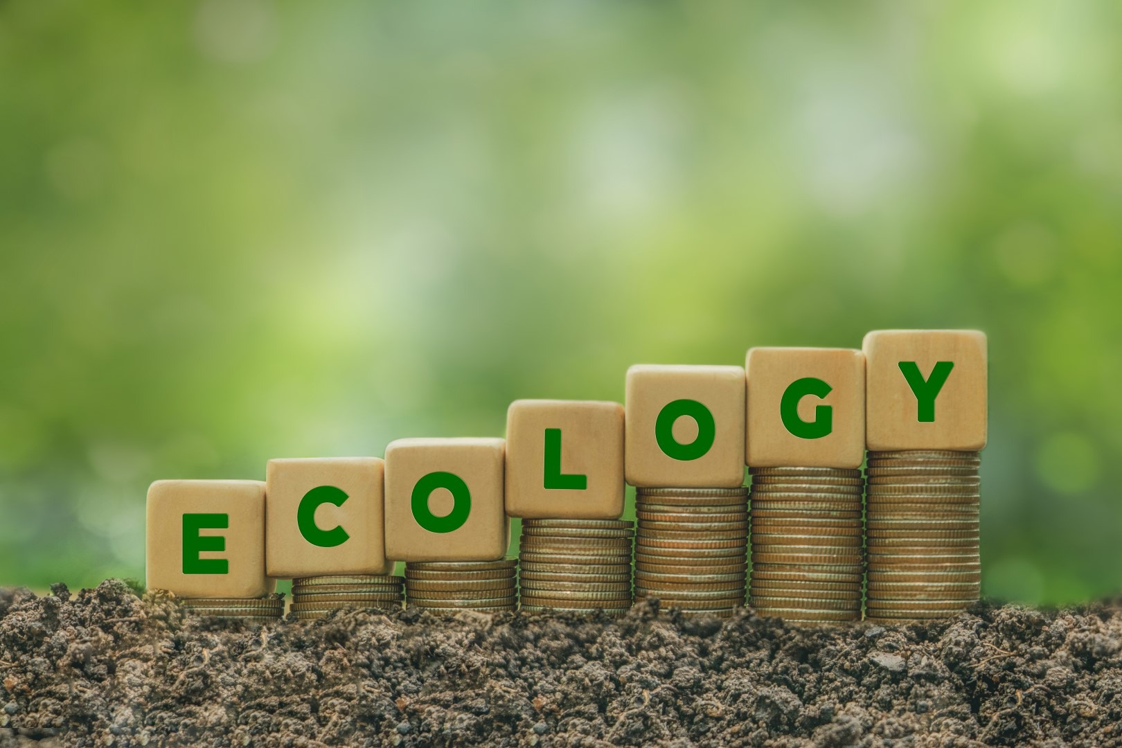 Introduzione alla finanza sostenibile